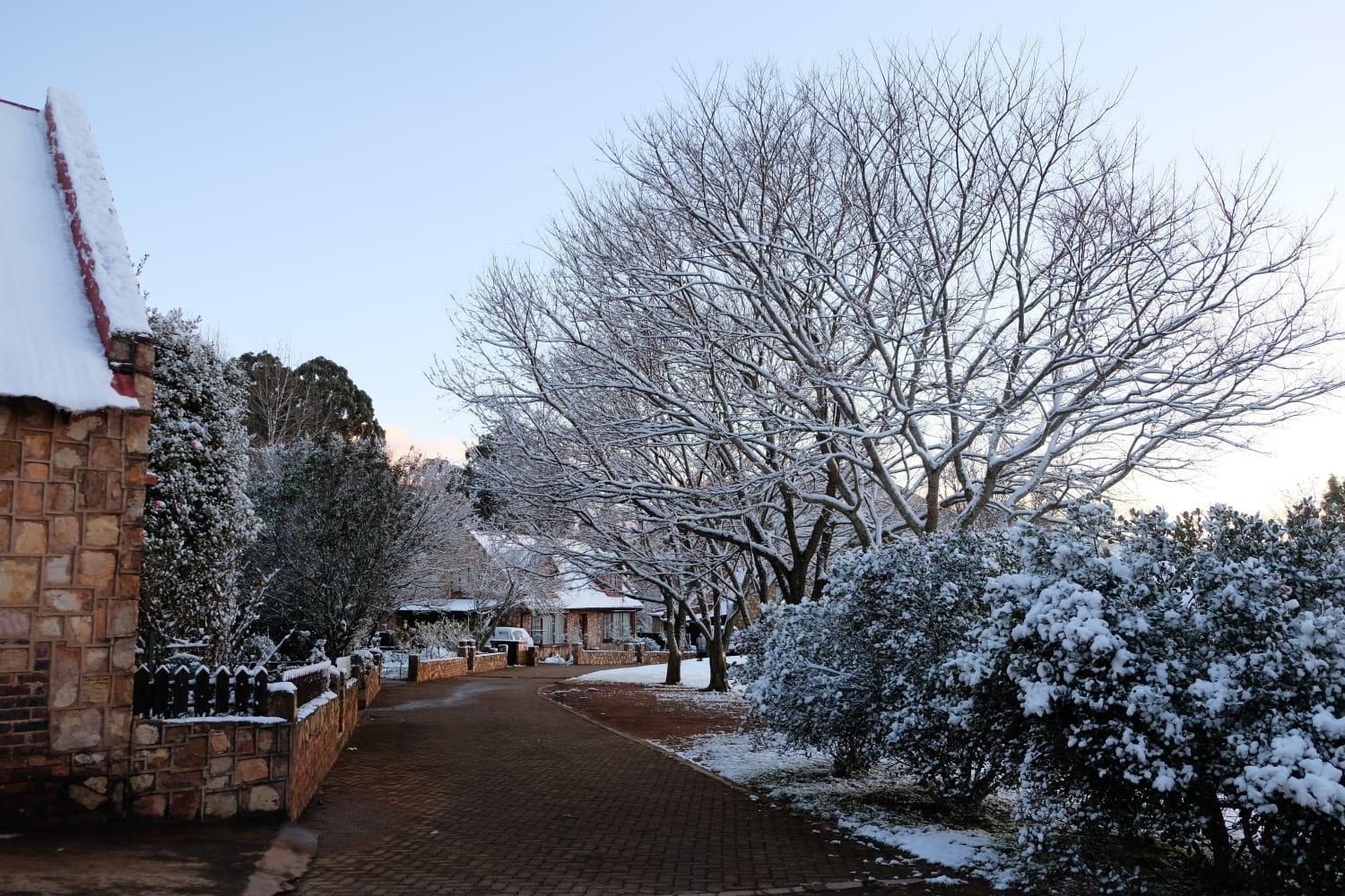 Dullvino @ Critchley Dullstroom